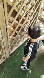 -萌宠亲子动物乐园(槐房万达店)