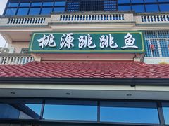 -桃源跳跳鱼
