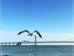 -星海广场