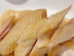 -老吉士酒家(天平路店)