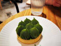抹茶挞-猫里有甜