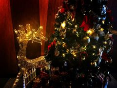 -上海外滩英迪格酒店