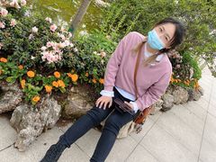 -南山植物园