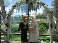 -济州岛泰迪熊博物馆