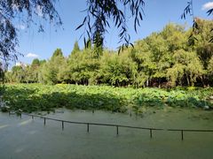 -月牙潭公园