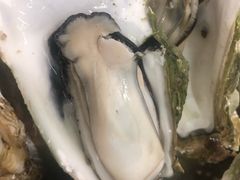 原只蒸生蚝-蚝得喜海鲜(东城店)