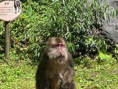 -西岭雪山大飞水景区
