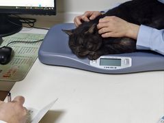 -全心全意连锁动物医院·特色中医诊疗(会城门分院)