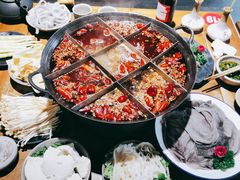 -白乐天毛肚火锅馆(南滨路店)