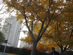 -苏州河梦清园环保主题公园