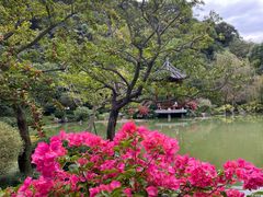 -云溪植物园