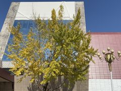 -全国青少年井冈山革命传统教育基地