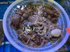 -韩家墅海吉星农产品批发市场