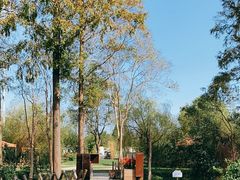 -前小桔亲子创意农场·草莓采摘·露营烧烤