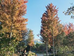 -回龙观体育文化公园