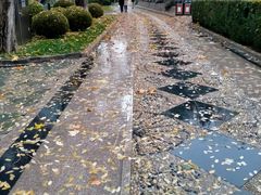 -团结湖公园