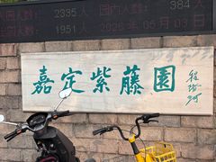 -嘉定紫藤园