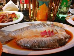 -格乐利雅婚礼艺术中心(南外滩店)