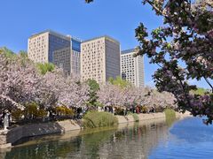 -元大都城垣遗址公园