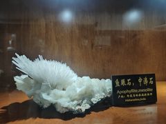 -青岛德国总督楼旧址博物馆