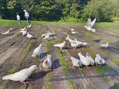 -哈尔滨北方森林动物园