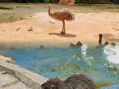 -深圳野生动物园