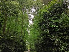 -东平国家森林公园