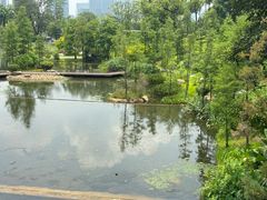 -云溪植物园