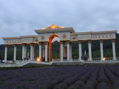 -曲江薰衣草庄园