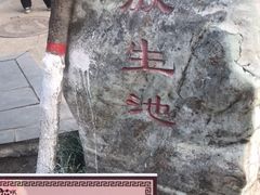-莲湖公园