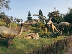 -自贡恐龙博物馆