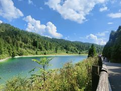 -武陵山森林公园