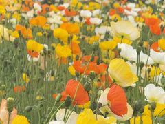 -名花谷生态庄园