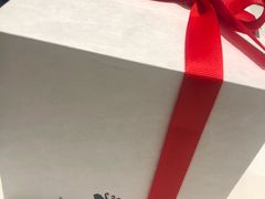-BLACKSWAN黑天鹅(环球店)