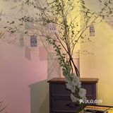 合柴里的新晋咖啡鲜花小店｜DREAMTASHA梦美