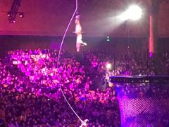 -珠海横琴长隆《卡卡虎奇遇记》