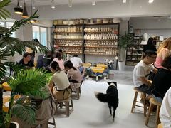 -木子陶艺(春熙路店)