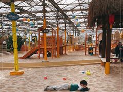 -南宫五洲植物乐园