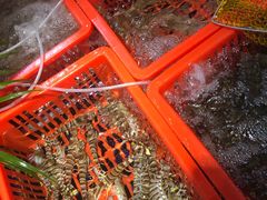 -79号渔船海鲜饭店(华强北店)