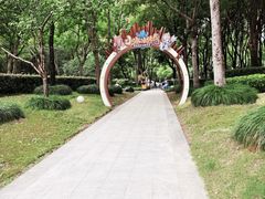 -南翔镇银翔湖公园