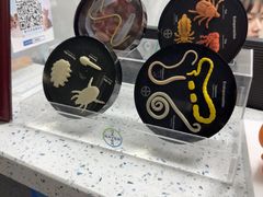-半岛宠物医院24小时(白果林店)