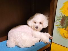 -默迹咖啡馆