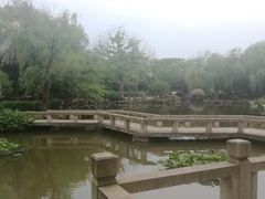 -司徒庙
