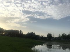 -两河城市森林公园