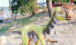 -恐龙探索乐园(磁器口店)