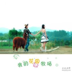 -飞鱼婚纱摄影(宏福大厦店)