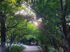 -烟台山景区
