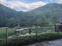 -杭州野生动物世界