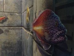 -芭提雅3D美术馆