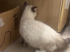 -艾贝尔宠物医院 ·中兽医·宠保定点(北门桥店)